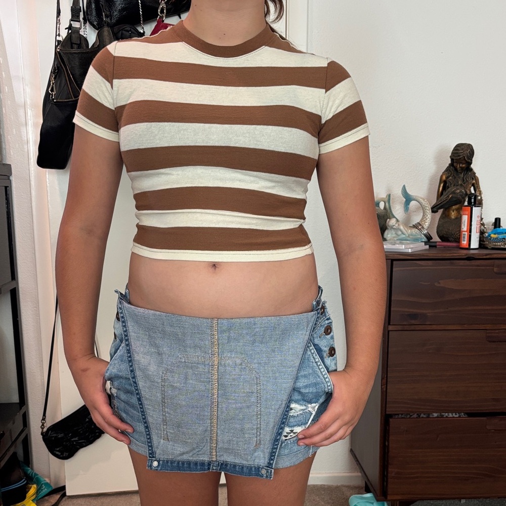 Brown and White Striped Crop Top